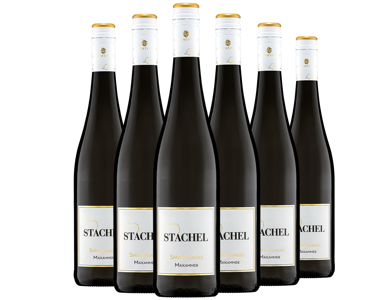 Spätburgunder Ortswein Paket - Weingut Stachel
