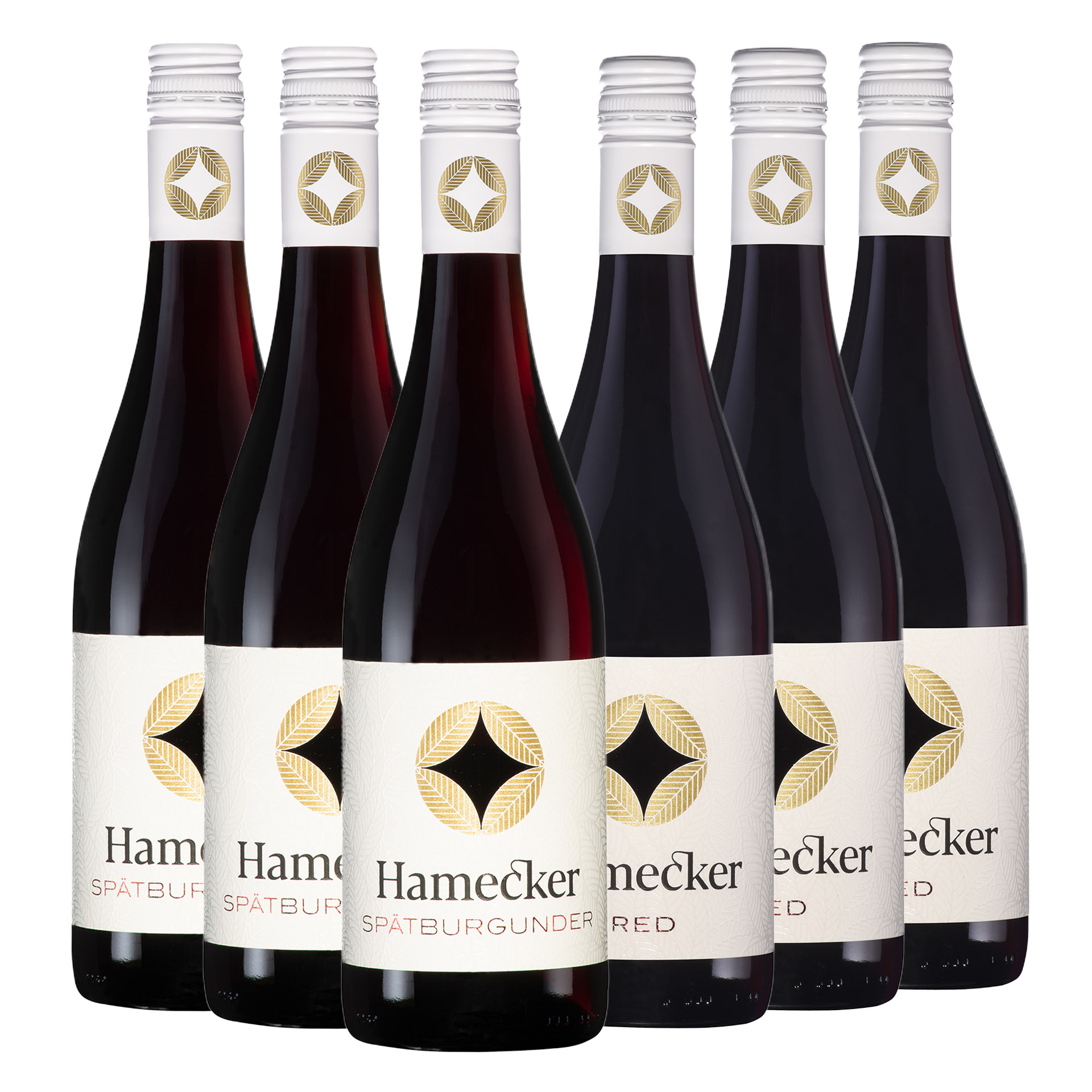 "Hamecker Entdeckerpaket" Rotwein 6 x 0,75 L ► MEJS