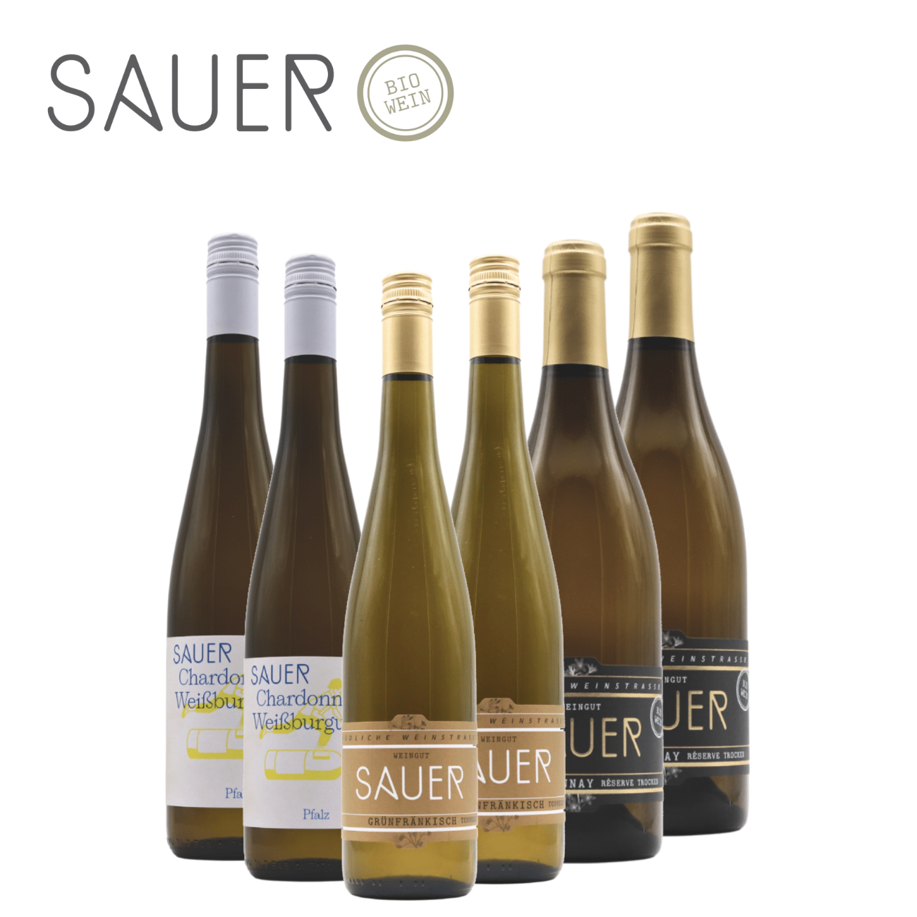 Sauer's Neulinge 6 x 0,75 L - Weingut Sauer