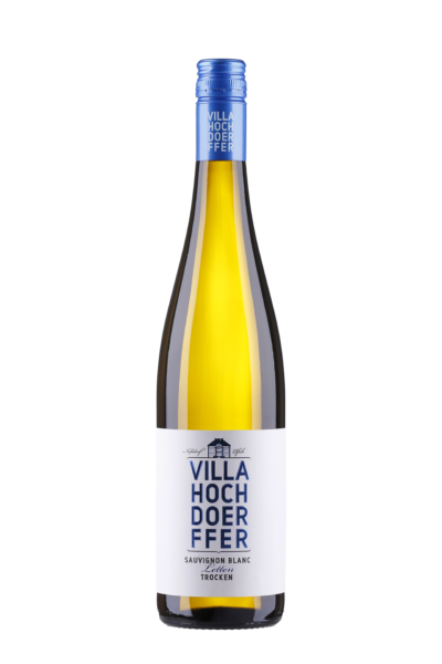 Sauvignon Blanc "Letten" trocken 0,75 L - Villa Hochdörffer