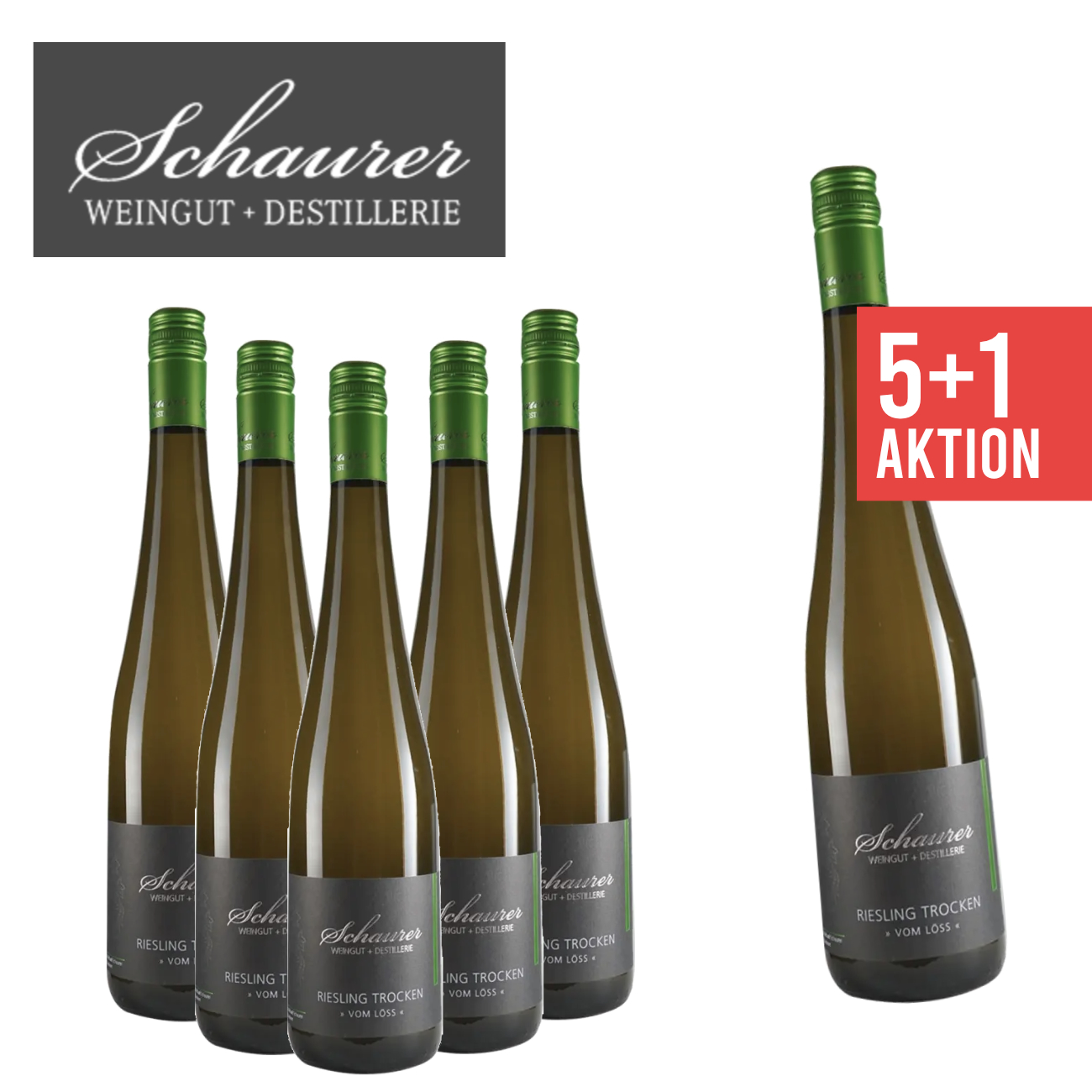 5+1 Riesling vom Löss trocken 0,75 L - Weingut Schaurer