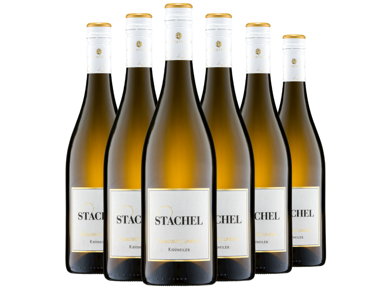 Stachel ► 6 x Grauburgunder trocken 0,75 L ☆ Weinpaket