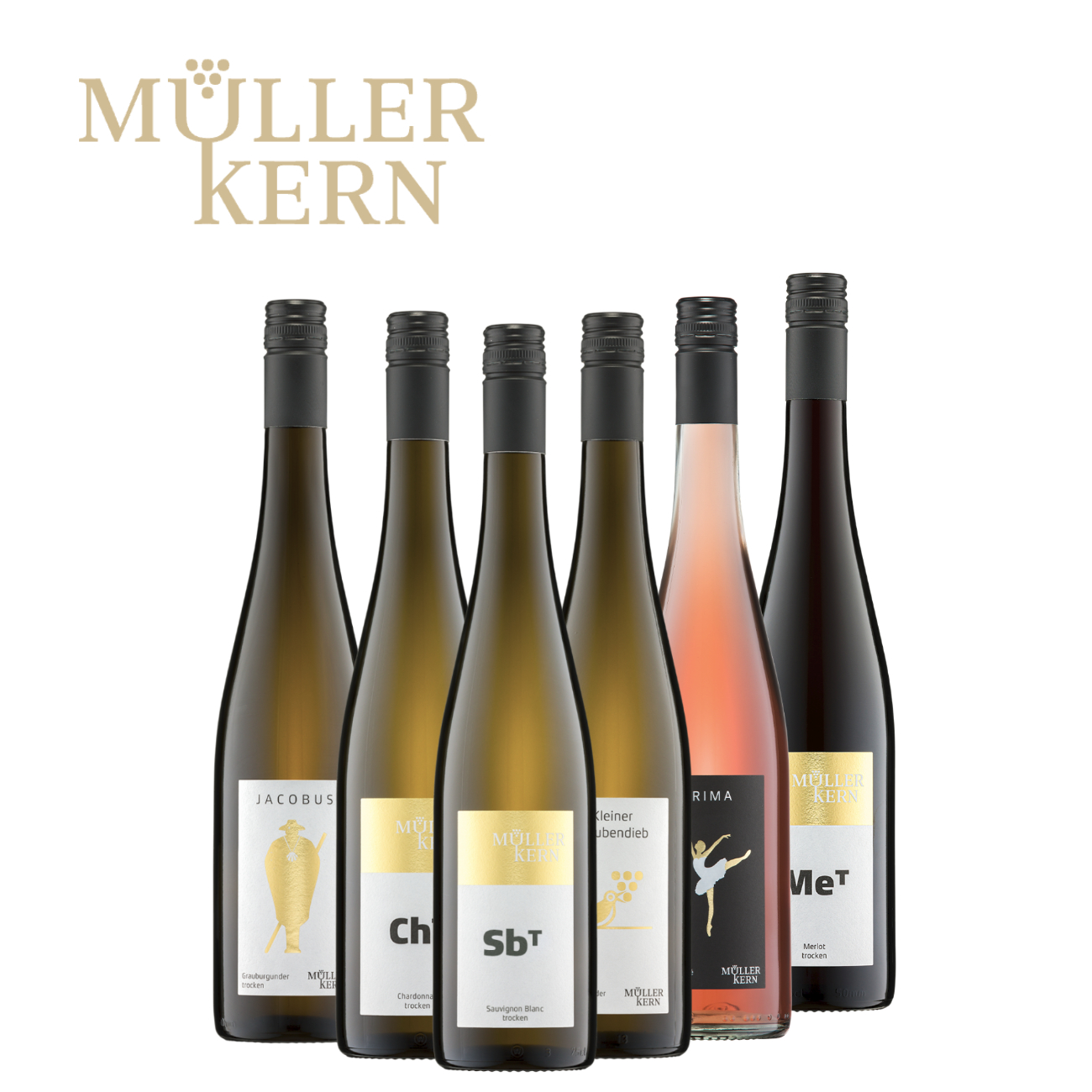 Probierpaket 6 x 0,75 L - Weingut Müller-Kern