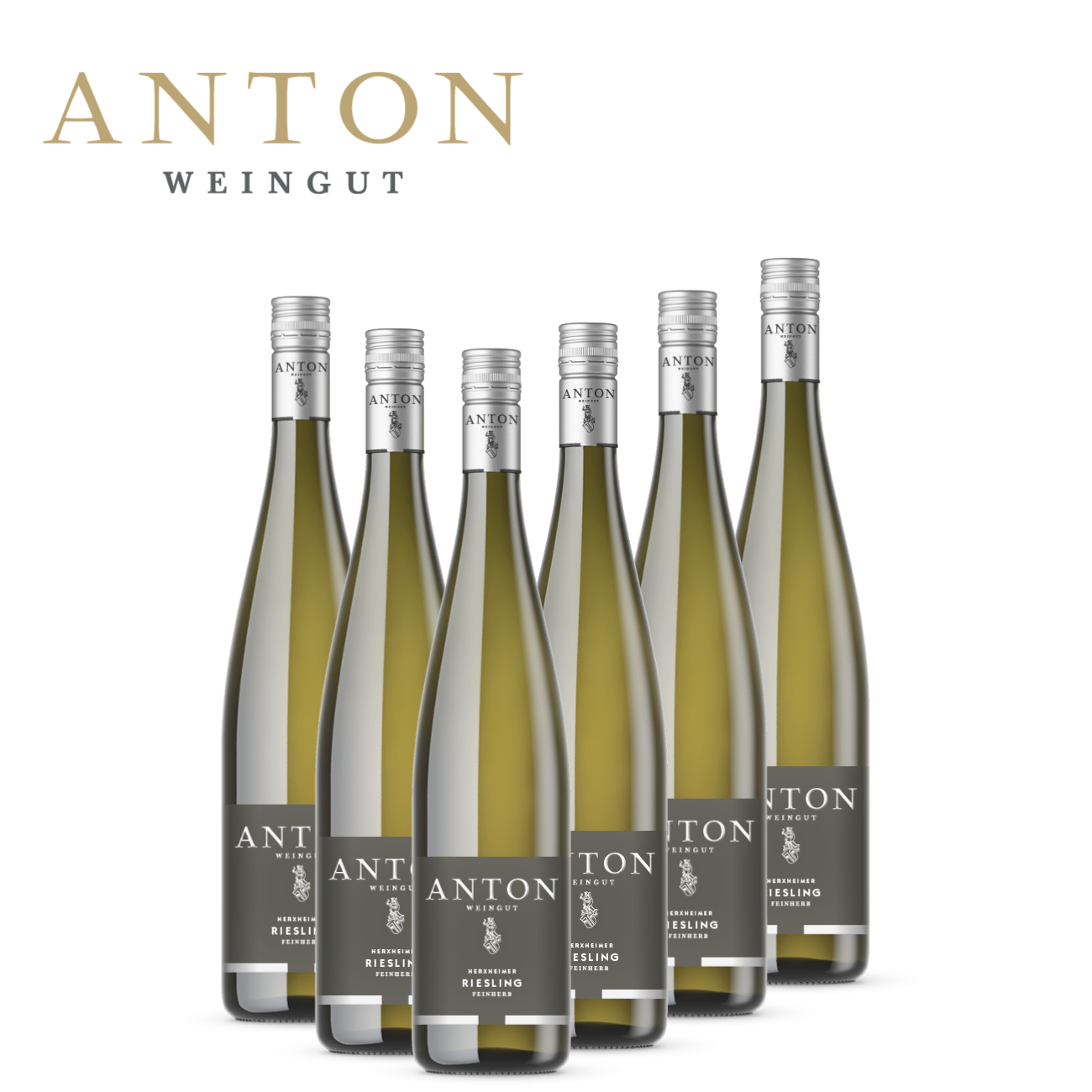 Riesling feinherb 6 x 0,75 L - Weingut Anton