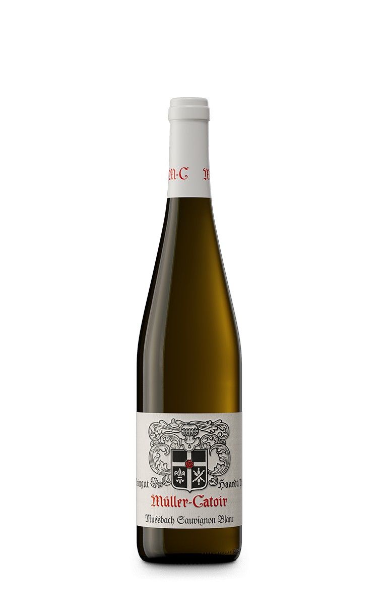 2020 Mussbach Sauvignon Blanc trocken VDP.Ortswein 0,75 L - Weingut Müller-Ca...