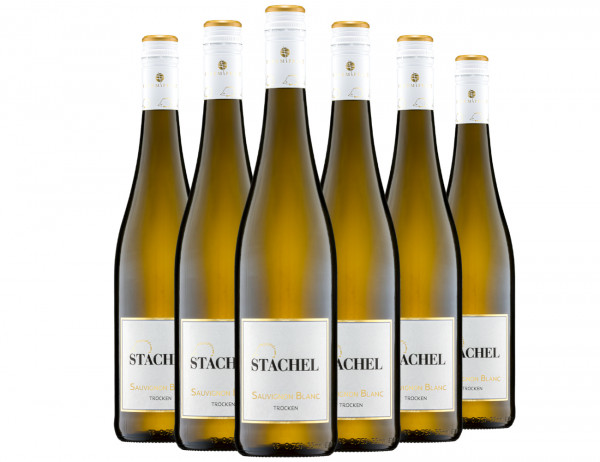 Sauvignon Blanc Ortswein Paket - Weingut Stachel