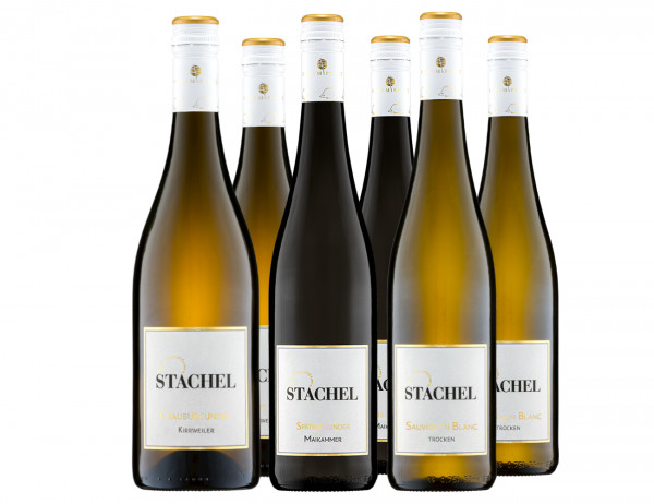Ortswein Entdeckerpaket - Weingut Stachel