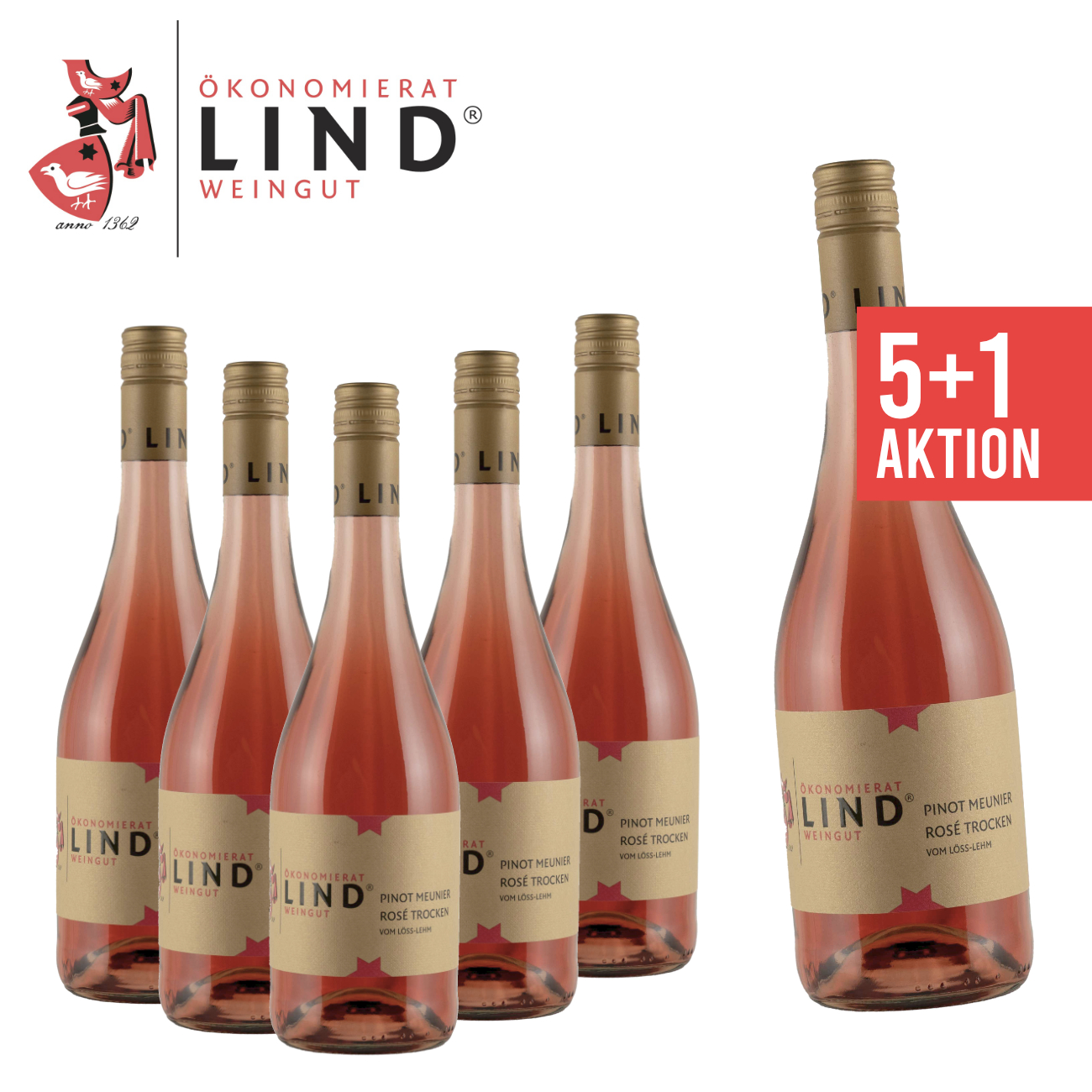 5+1 Pinot Meunier Rosé trocken 0,75 L - Weingut Ökonomierat Lind