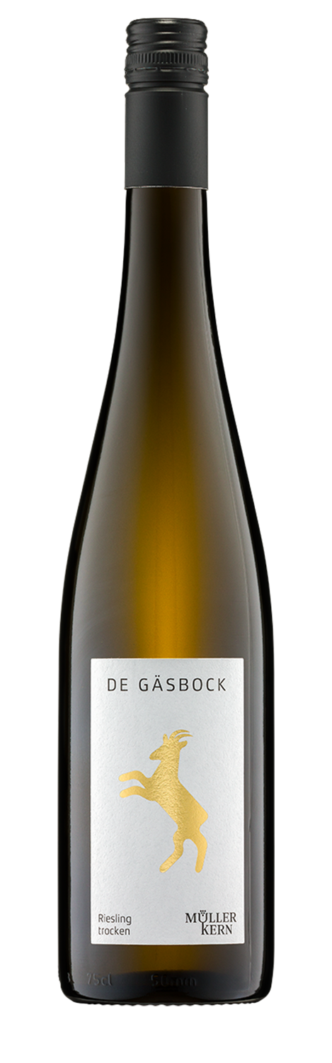 De Gäsbock Riesling trocken 0,75 L ▻ Weingut Müller-Kern | Pfälzer Wein | Weißweine
