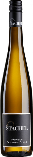 Sauvignon Blanc Paradies trocken 0,75 L - Weingut Stachel