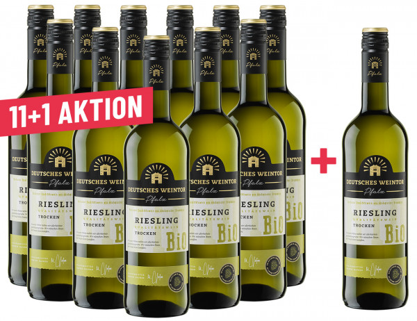 11+1 Riesling trocken Angebot ▻ ☆ Pfälzer Deutsches Wein Weintor | Bio