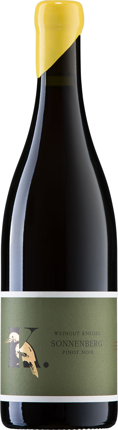 2019 Pinot Noir trocken Sonnenberg 0,75 L - Weingut Kneisel