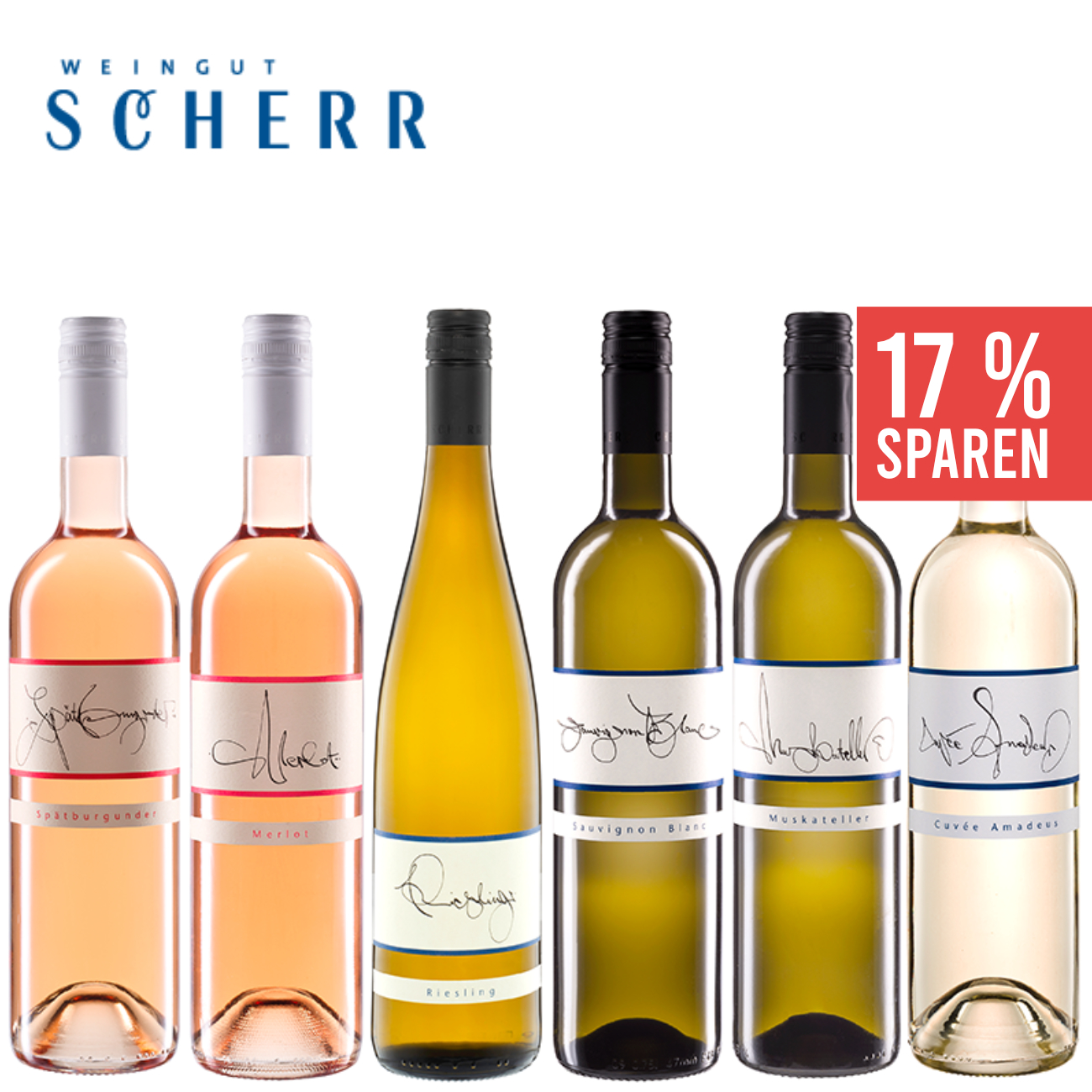 So schmeckt der Sommer! Pfalz 0,75 Scherr Weingut Weinpaket Wein L x | Pfälzer ▻ 6 