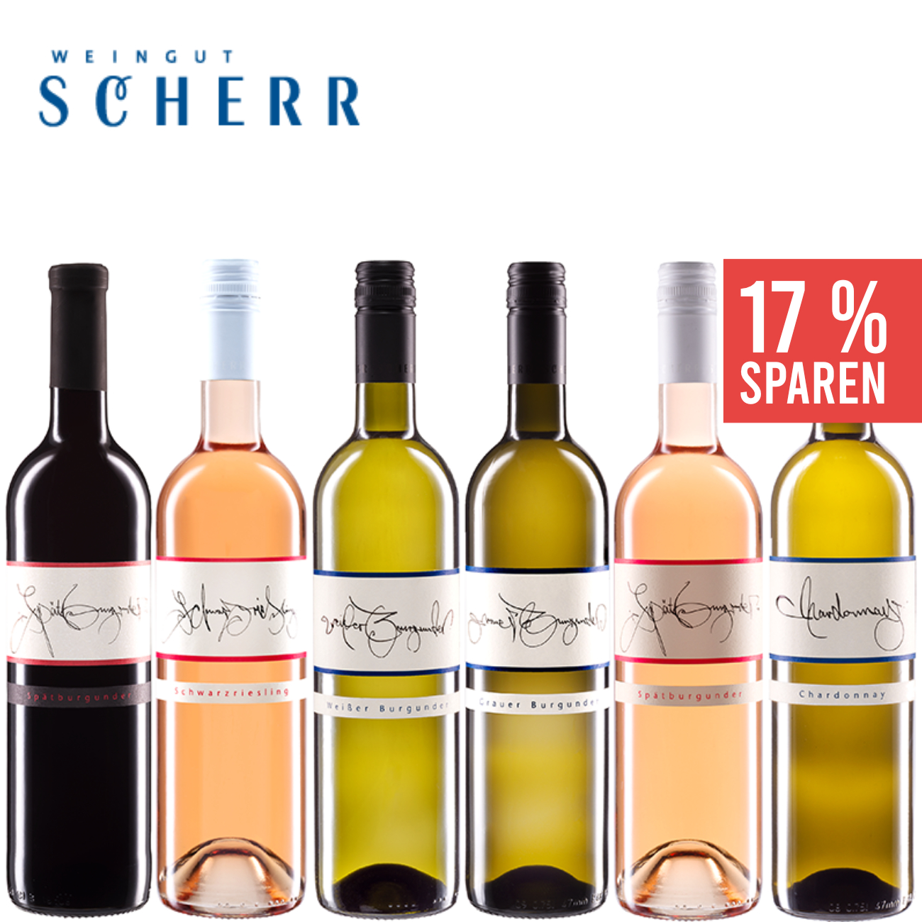 L | Weingut Wein Pfälzer Burgunderpaket | 6 ▻ 0,75 Weinpaket Scherr Pfalz x